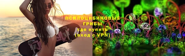 амф Алзамай